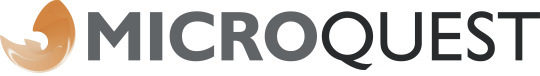 Logotipo Microquest.pt